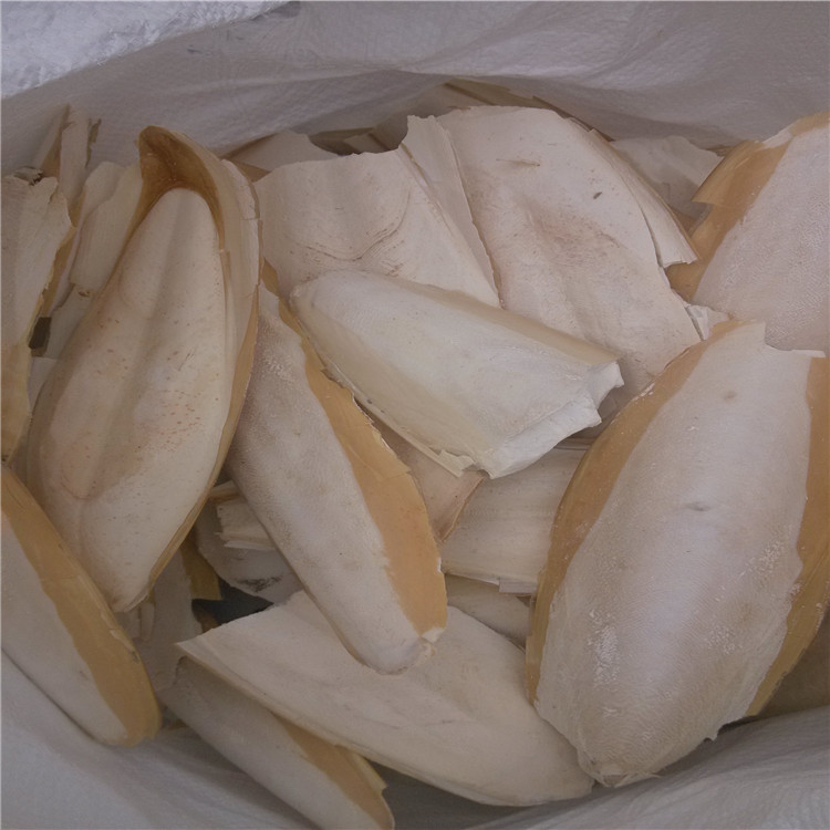 东南亚进口墨鱼骨必须要知道的内幕