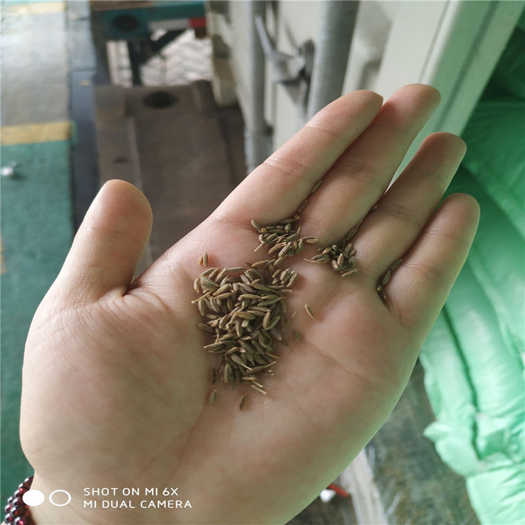 孜然进口量突然增大，孜然进口流程知多少？